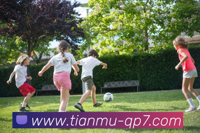 奖项图2